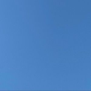 Meet your Posher, Paulina